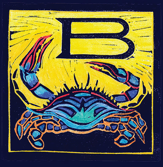 O Is For Oystercatcher