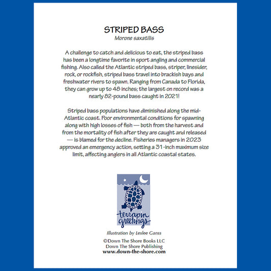 SeaNotes notecards — Ocean set of 4