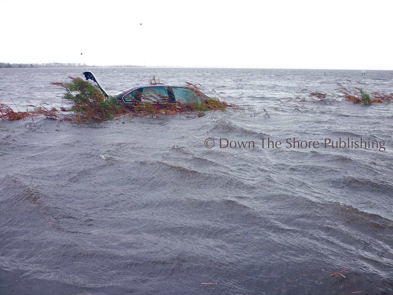 Surviving Sandy