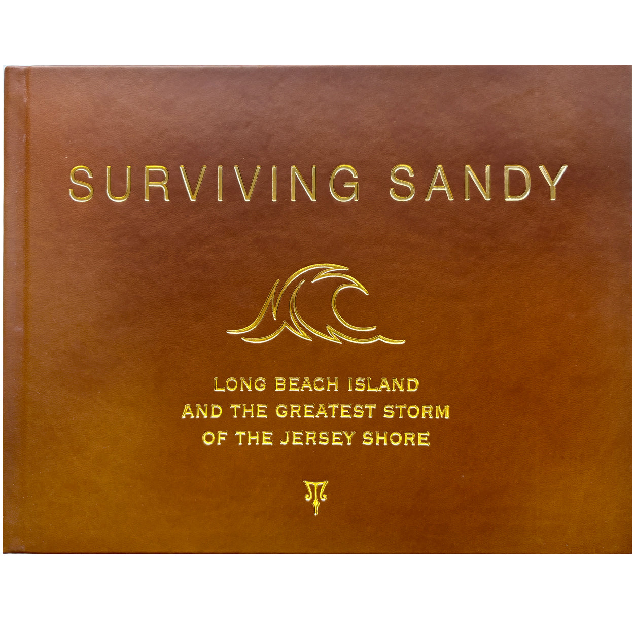 Surviving Sandy