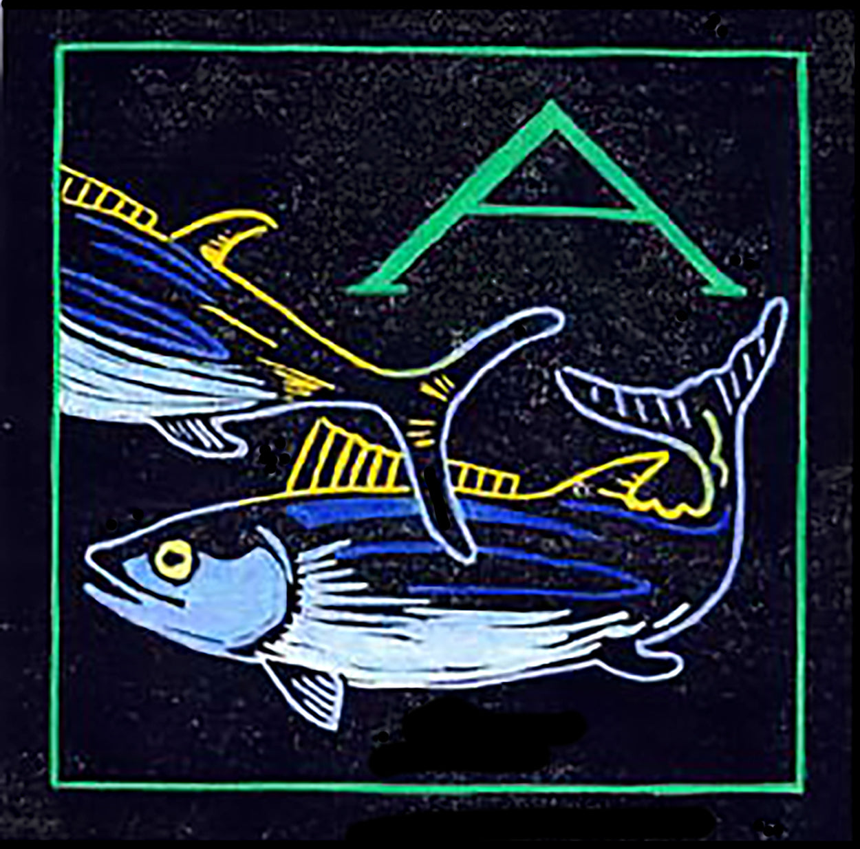 O Is For Oystercatcher