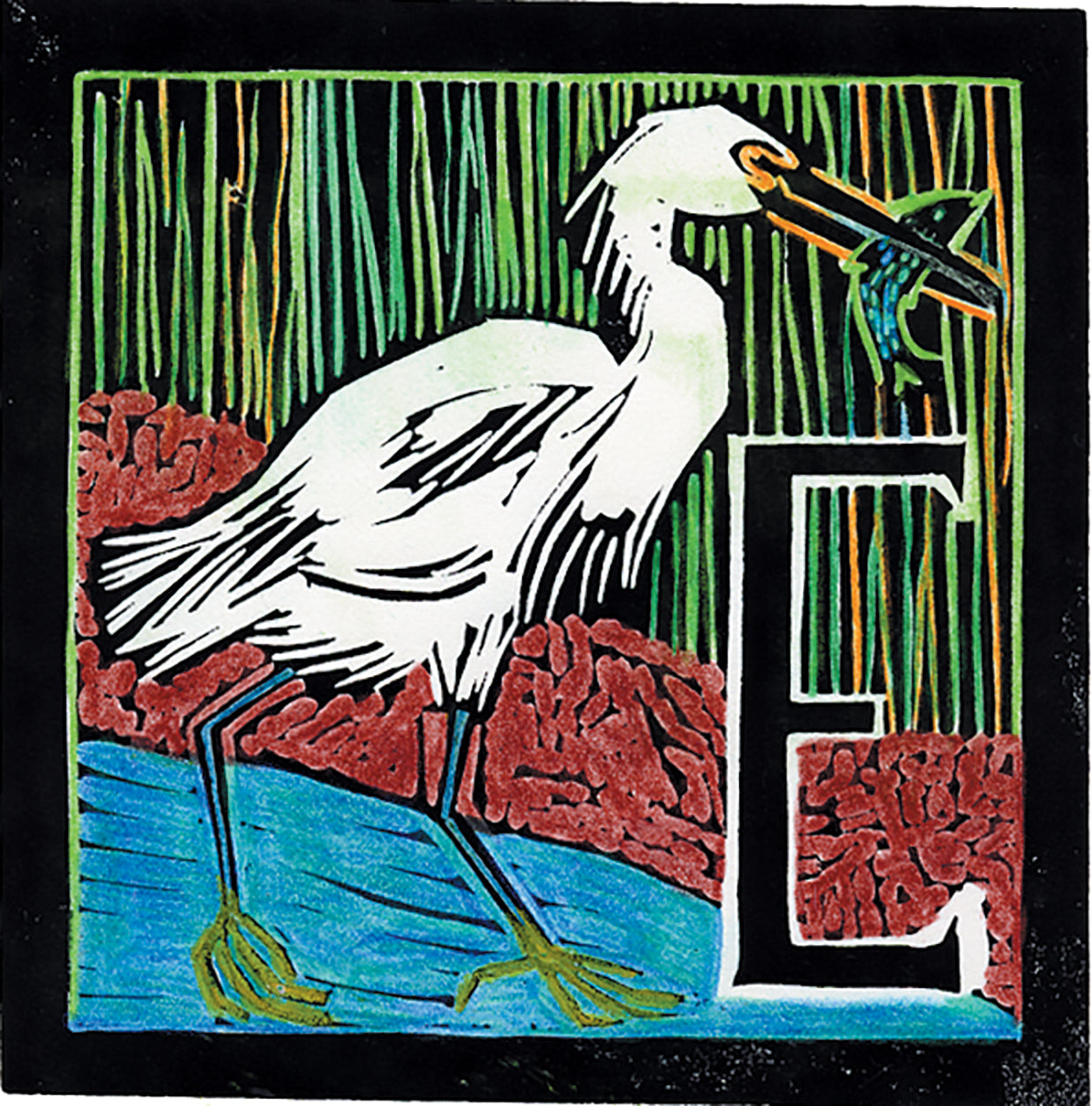 O Is For Oystercatcher