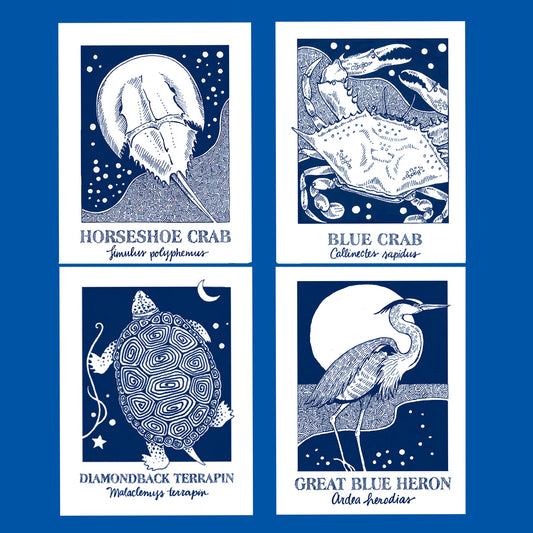 terrapin, horseshoe crab, blue crab heron