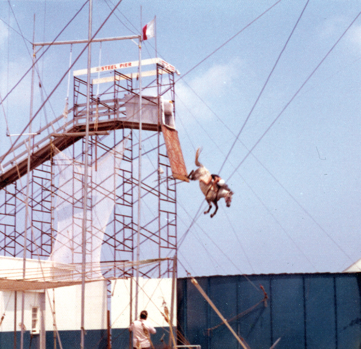 Chance of A Lifetime