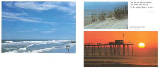 Four Seasons At the Shore