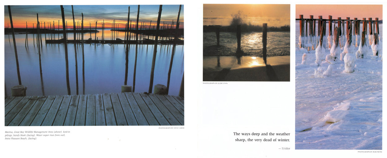 Four Seasons At the Shore