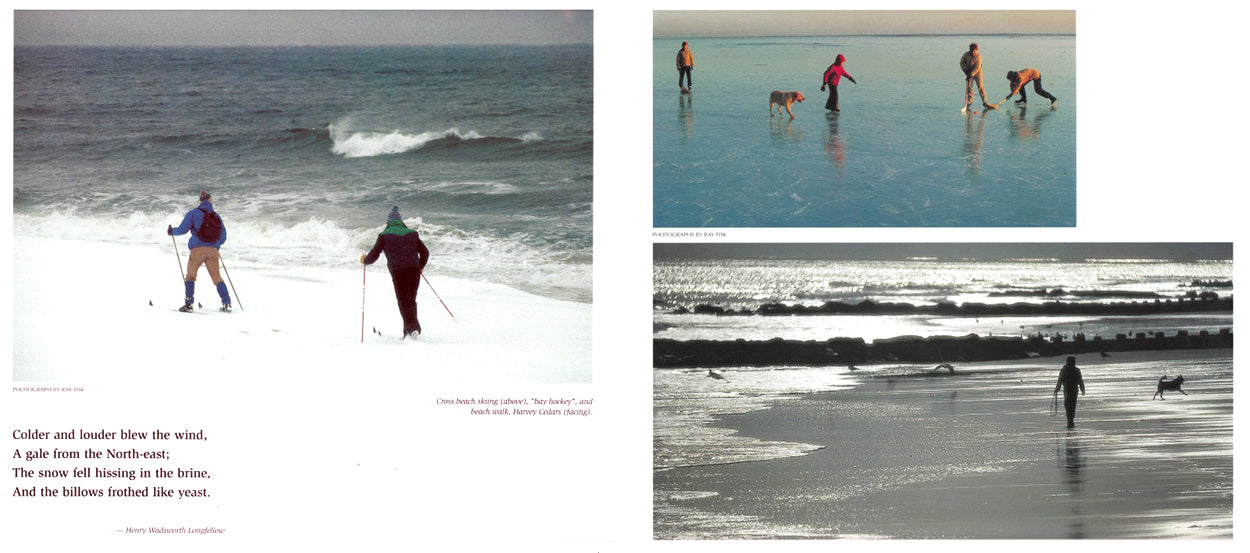 Four Seasons At the Shore